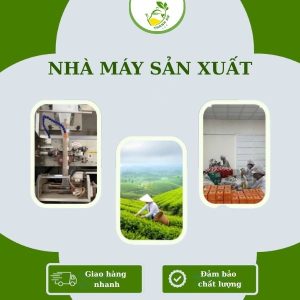 NHAMAYSANXUAT